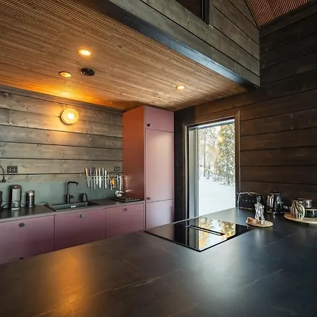 Βίλα Asteli Pyhätunturi