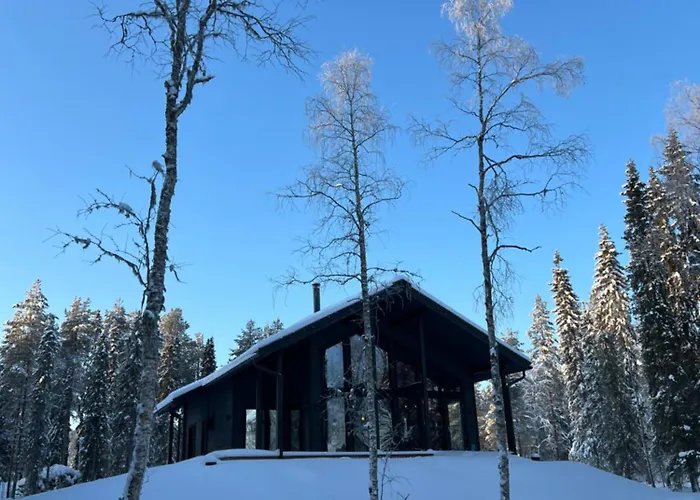 Villa Asteli Pyhätunturi